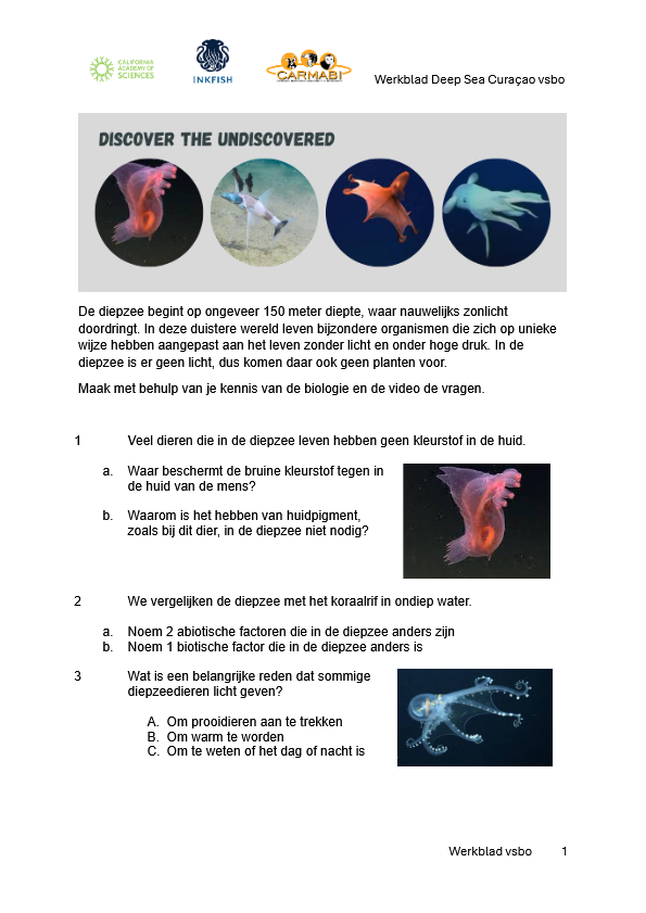 werkblad CAS deep sea vsbo