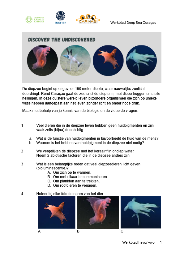 werkblad CAS deep sea havovwo