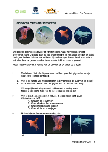 werkblad CAS deep sea havovwo
